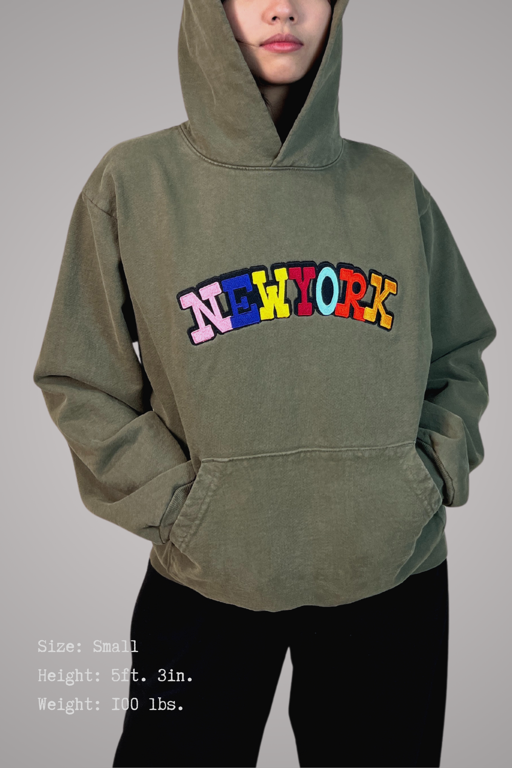 The Diverse Hues Of New York Hoodie